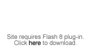 get the Flash plugin